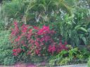 Maui-154.jpg