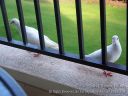 Maui-171.jpg