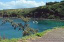 Maui-176.jpg