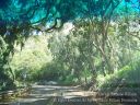 Maui-179.jpg