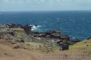 Maui-191.jpg