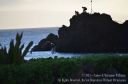Maui-279.jpg