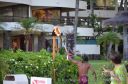 Maui-281.jpg