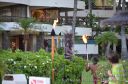 Maui-282.jpg