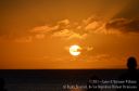 Maui-318.jpg