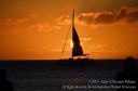 Maui-320.jpg