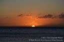 Maui-327.jpg