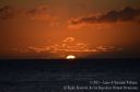 Maui-328.jpg