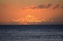 Maui-332.jpg