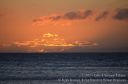 Maui-333.jpg
