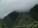 Maui-343.jpg