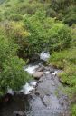 Maui-350.jpg