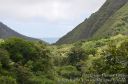 Maui-353.jpg