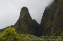 Maui-355.jpg