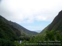 Maui-357.jpg