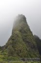 Maui-362.jpg