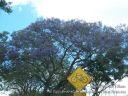 Maui-372.jpg