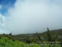 Maui-379.jpg
