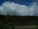 Maui-382.jpg