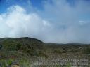 Maui-383.jpg
