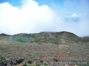 Maui-384.jpg