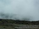 Maui-386.jpg