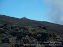 Maui-388.jpg