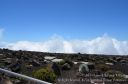 Maui-396.jpg