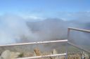 Maui-429.jpg