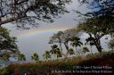 Maui-442.jpg