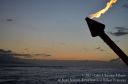 Maui-447.jpg