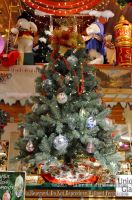 Michigan2013-01-331.jpg