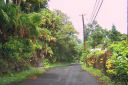 Hawaii2007-0162.jpg