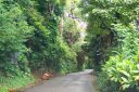Hawaii2007-0164.jpg
