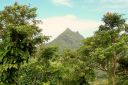Hawaii2007-0171.jpg