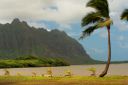 Hawaii2007-0179.jpg