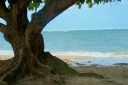 Hawaii2007-0198.jpg