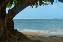 Hawaii2007-0199.jpg
