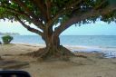 Hawaii2007-0200.jpg