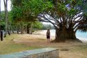 Hawaii2007-0204.jpg