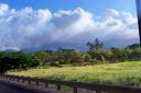 Hawaii2007-0218.jpg