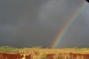 Hawaii2007-0228.jpg