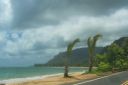 Hawaii2007-0242.jpg