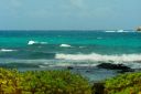 Hawaii2007-0262.jpg
