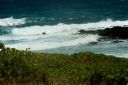 Hawaii2007-0268.jpg