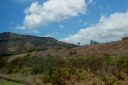 Hawaii2007-0282.jpg