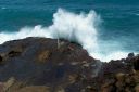Hawaii2007-0288.jpg