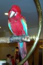Hawaii2007-0320.jpg