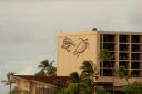 Hawaii2007-0336.jpg