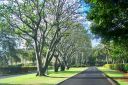 Hawaii2007-0378.jpg